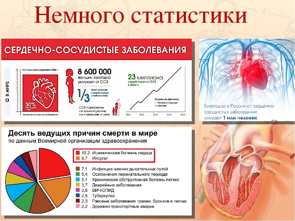a4fc42d6666d822432fc9824cf8acd6a.jpg
